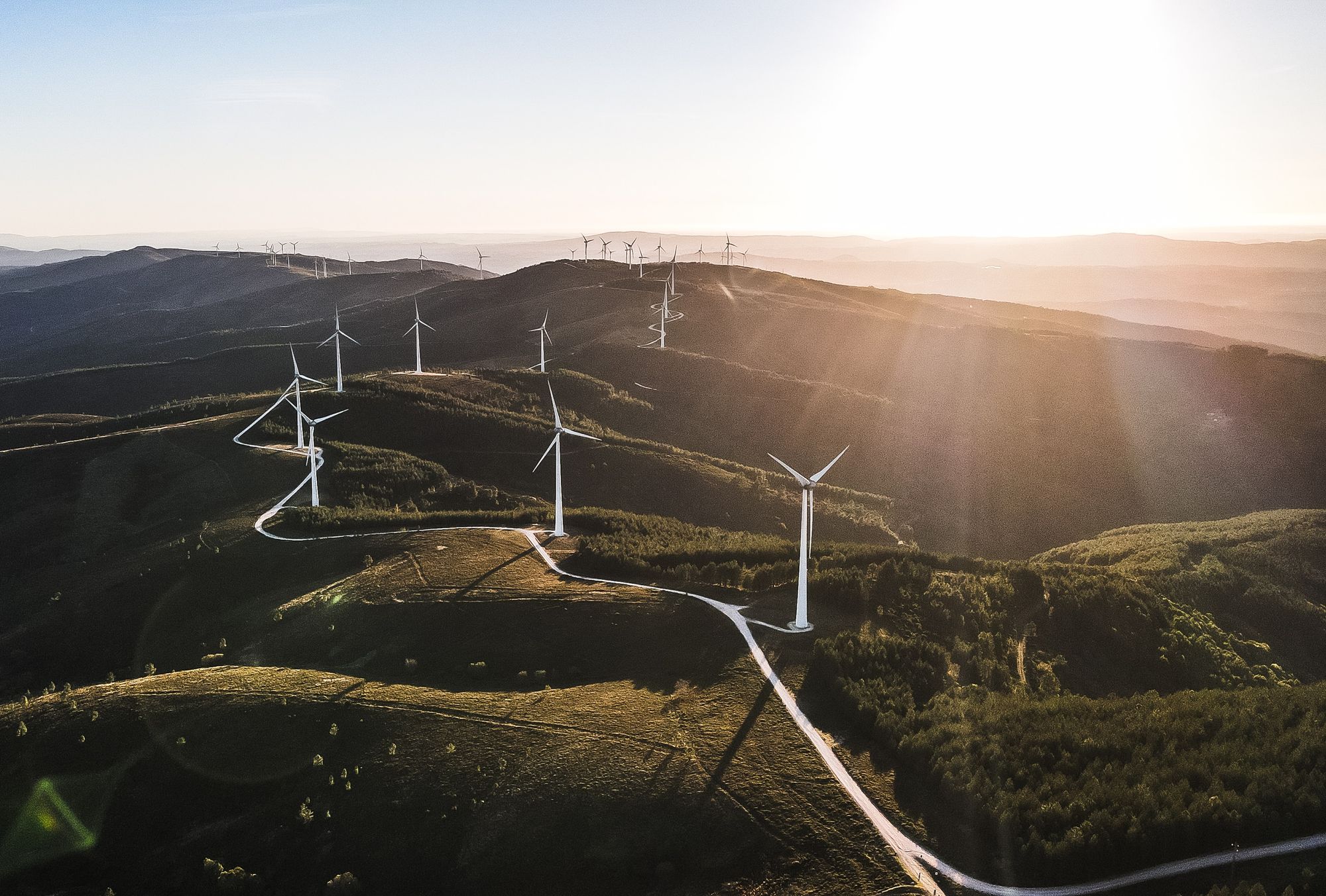 Carbon AdTrack – A Breath of Fresh Air for the Environmentally Conscious Advertiser